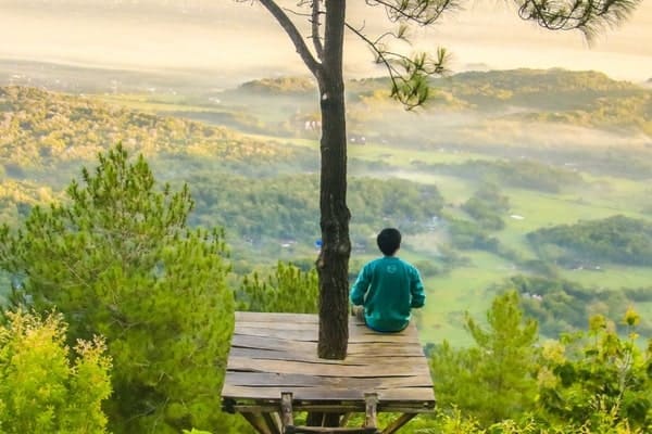 Meditation Program